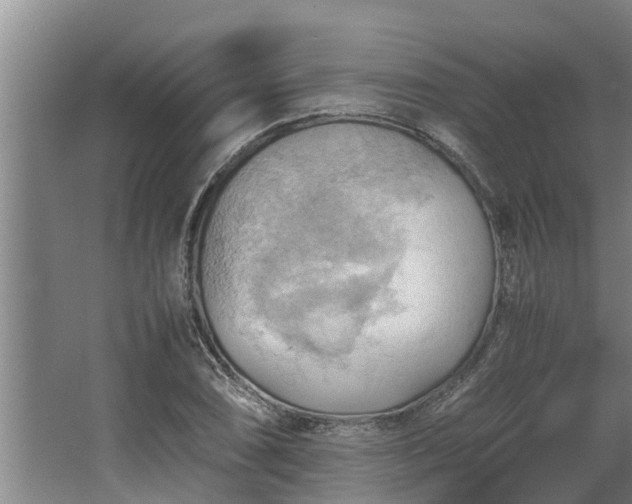 X0000064041074200602031551