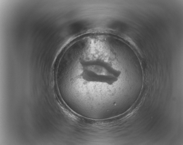 X0000064041075200602031551