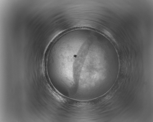 X0000064041076200602031551