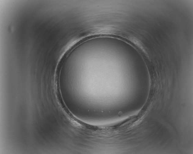 X0000064041077200602031551