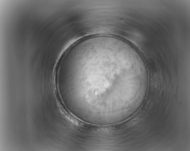 X0000064041078200602031551