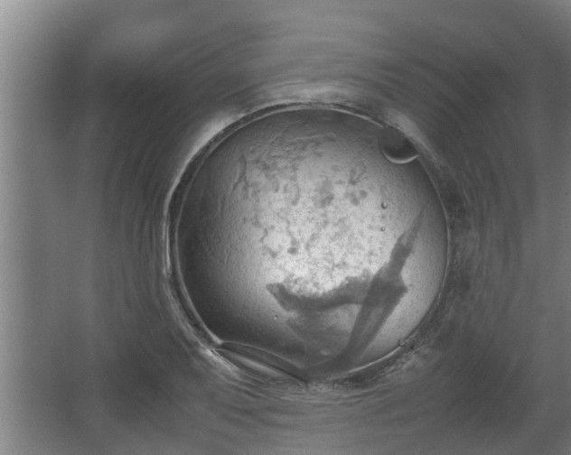 X0000064041079200602031551