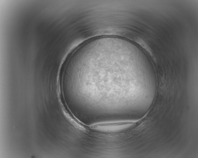 X0000064041080200602031551