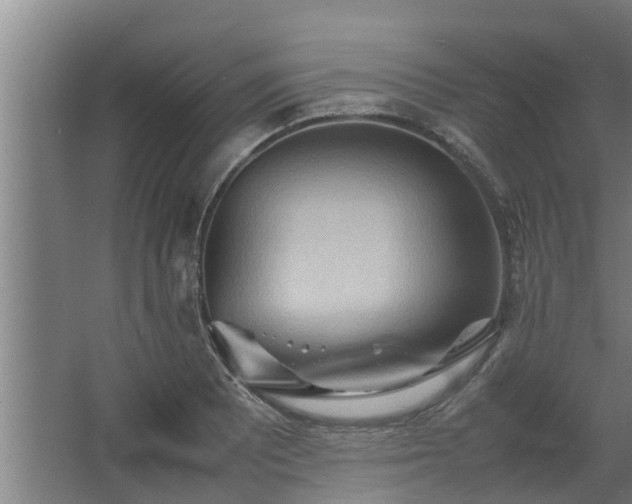 X0000064041081200602031551