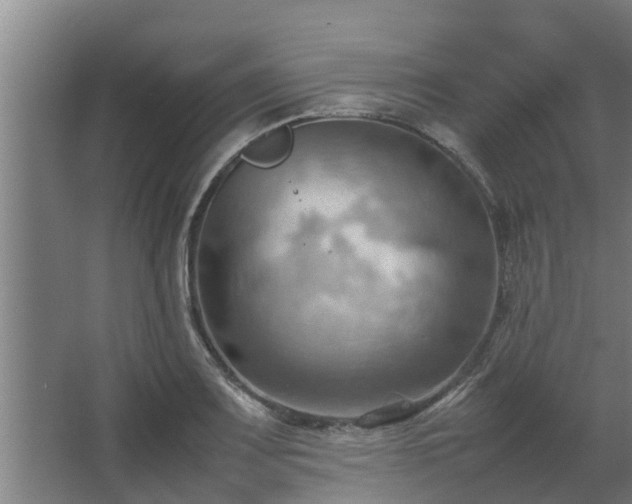 X0000064041083200602031551