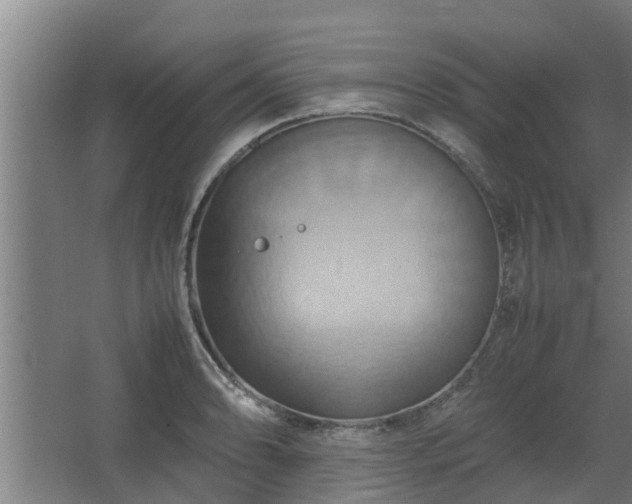 X0000064041086200602031551