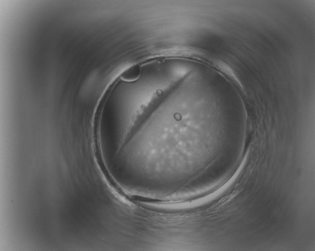 X0000064041087200602031551