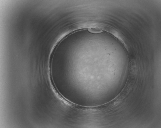 X0000064041088200602031551