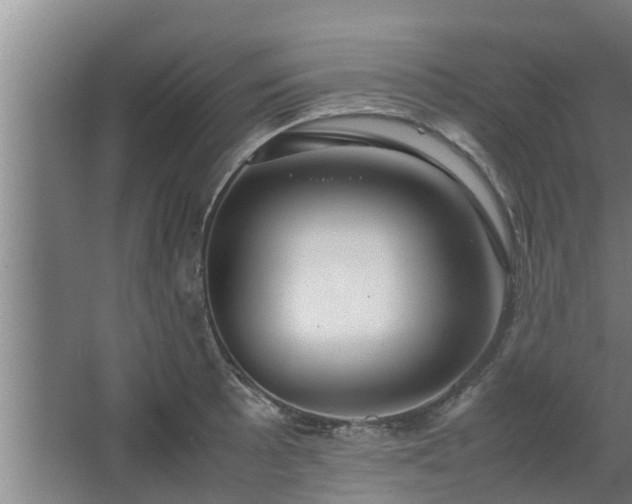 X0000064041089200602031551