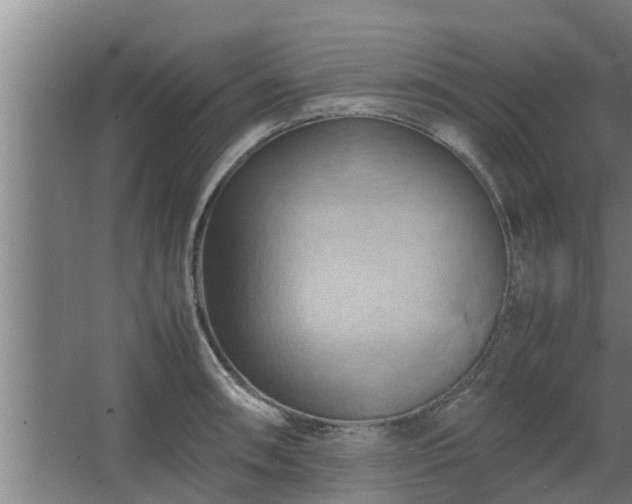 X0000064041090200602031551