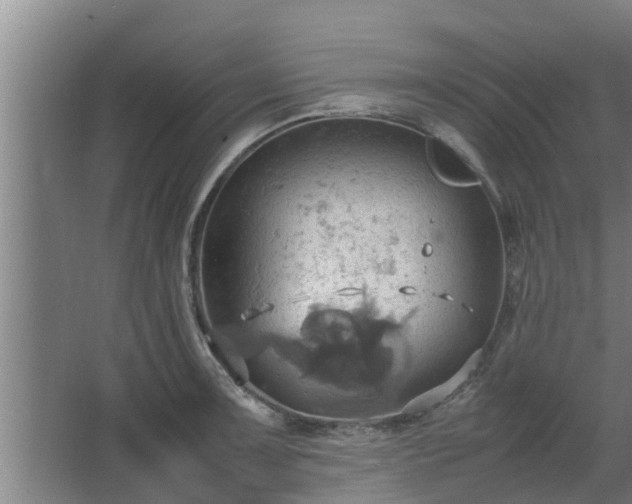 X0000064041091200602031551