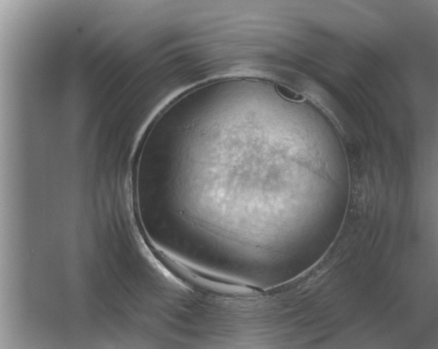 X0000064041092200602031551