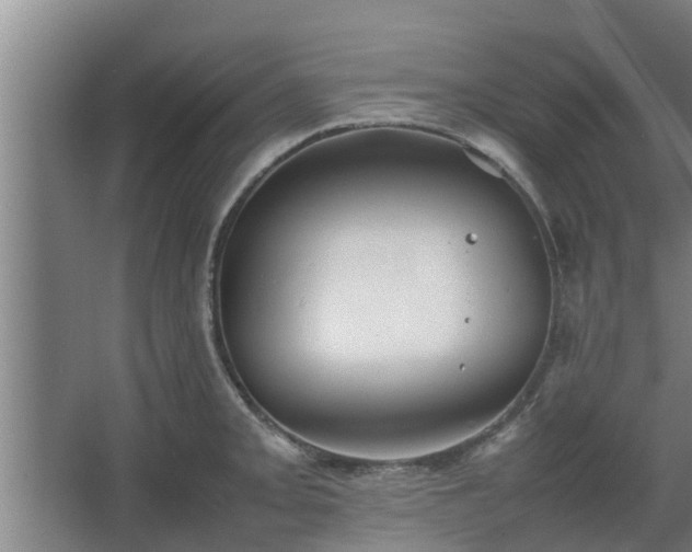 X0000064041093200602031551