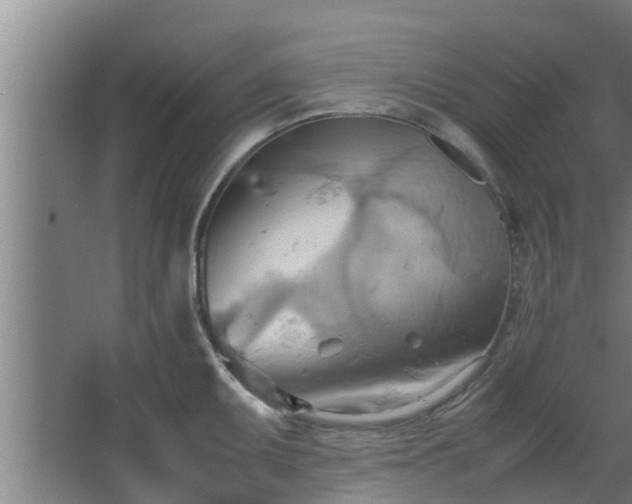 X0000064041095200602031551