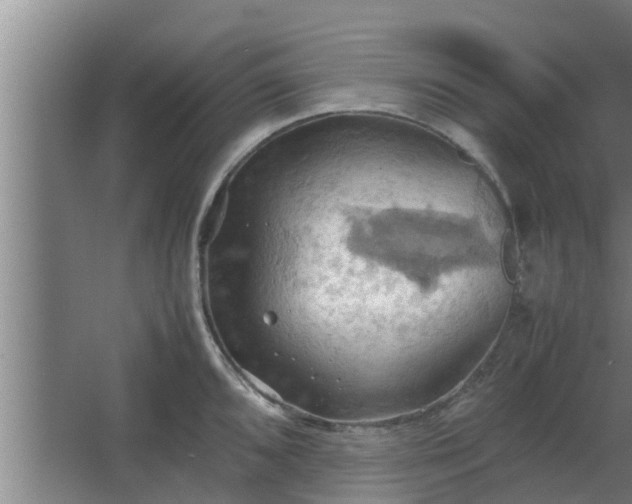 X0000064041096200602031551