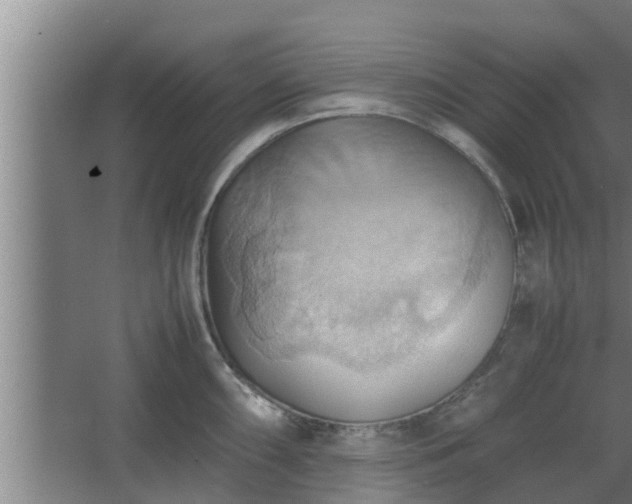 X0000064041098200602031551