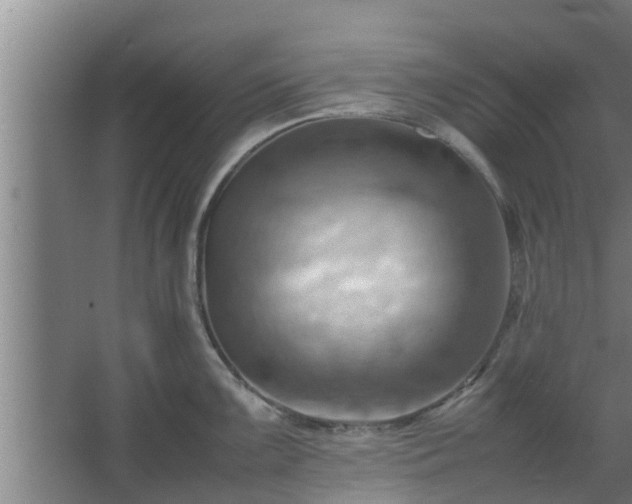 X0000064041099200602031551