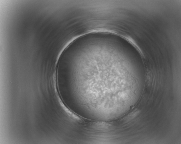 X0000064041100200602031551