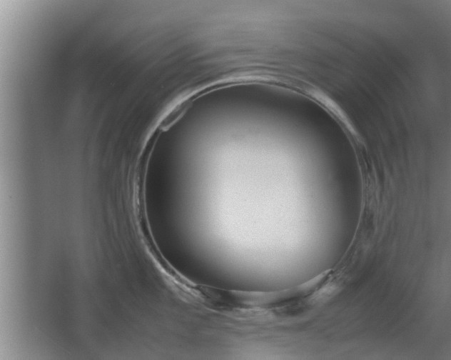 X0000064041101200602031551