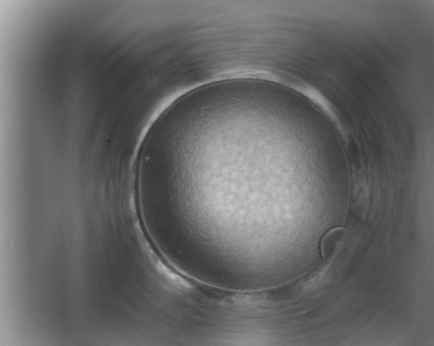 X0000064041102200602031551