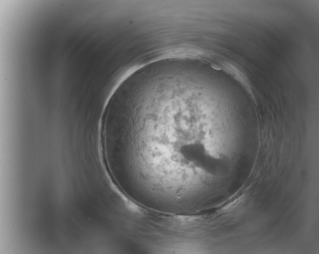 X0000064041103200602031551