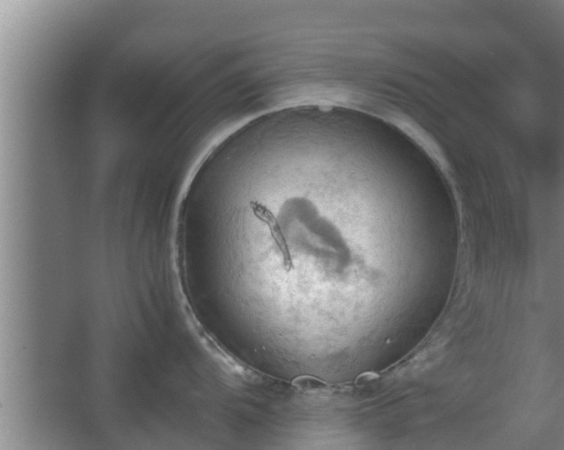 X0000064041104200602031551