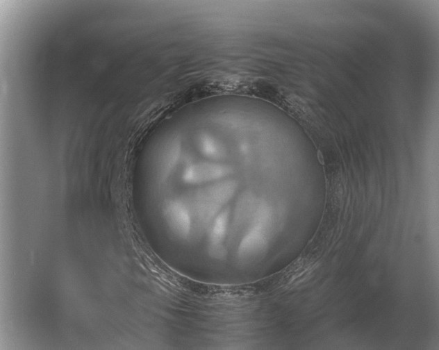 X0000064041105200602031550