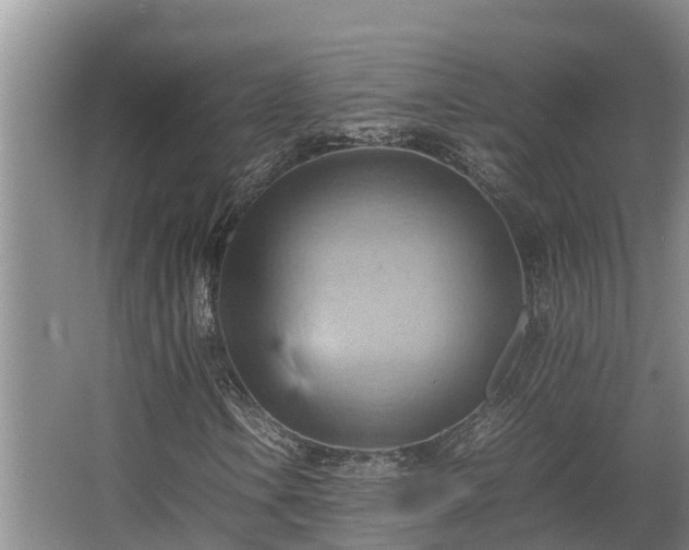 X0000064041106200602031550