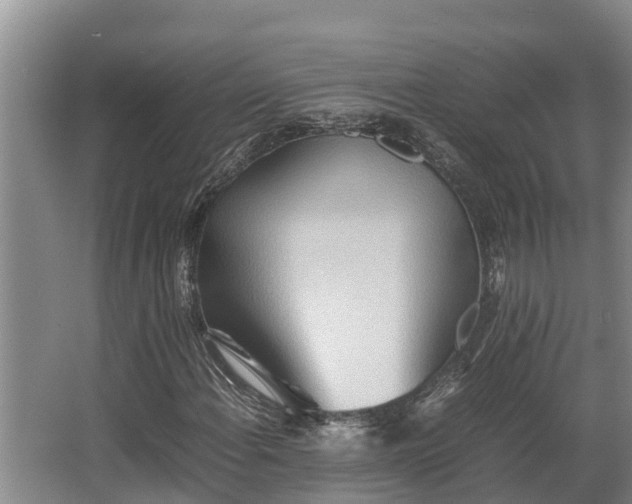 X0000064041108200602031550