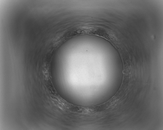 X0000064041109200602031550