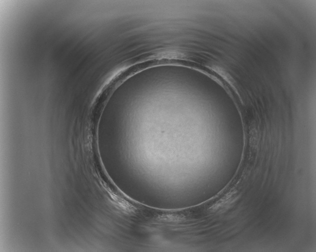 X0000064041115200602031550