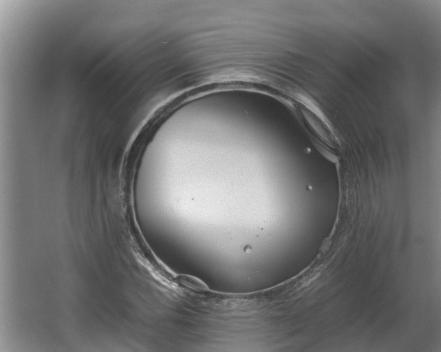 X0000064041116200602031550