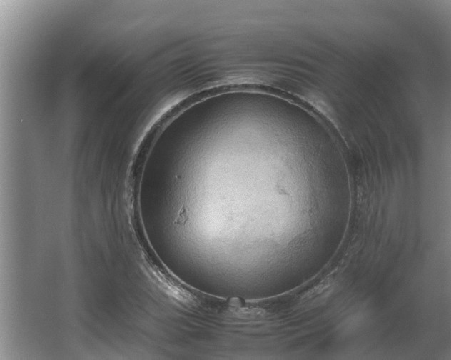 X0000064041119200602031550