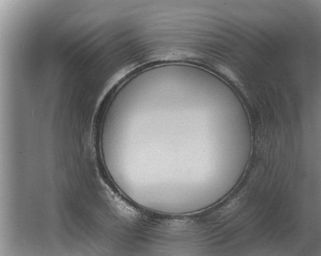 X0000064041122200602031550