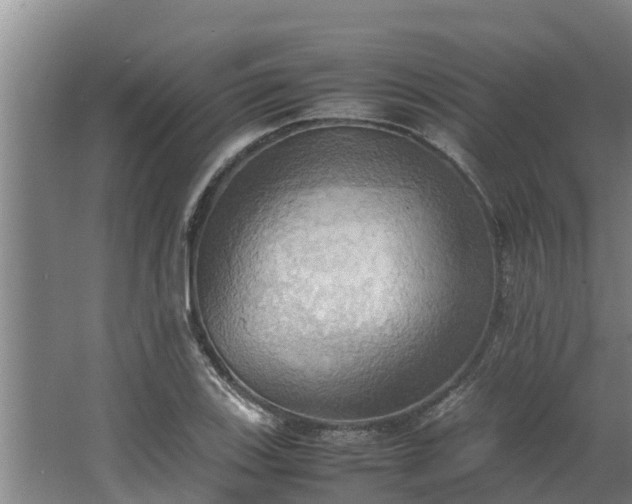 X0000064041123200602031550