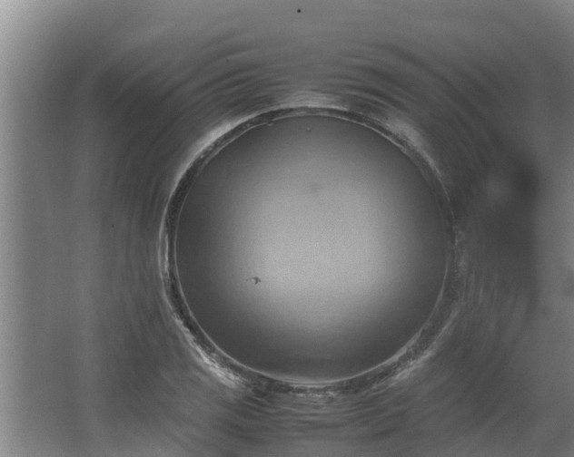 X0000064041125200602031550