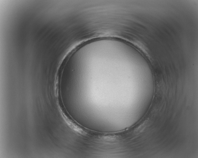 X0000064041126200602031550