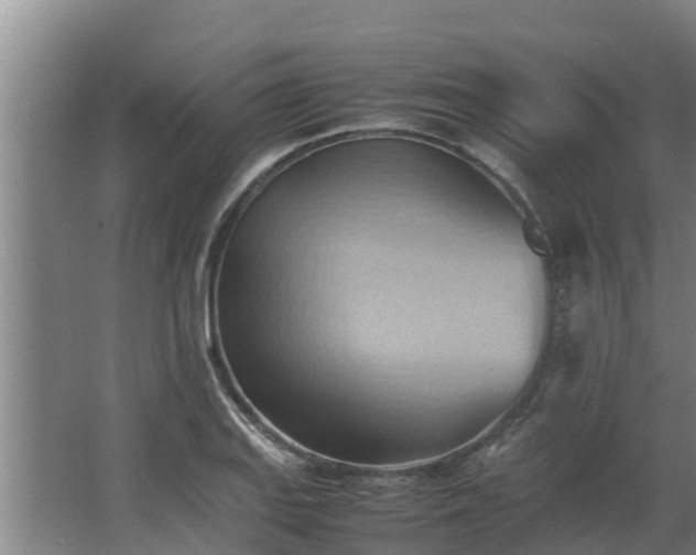 X0000064041127200602031550