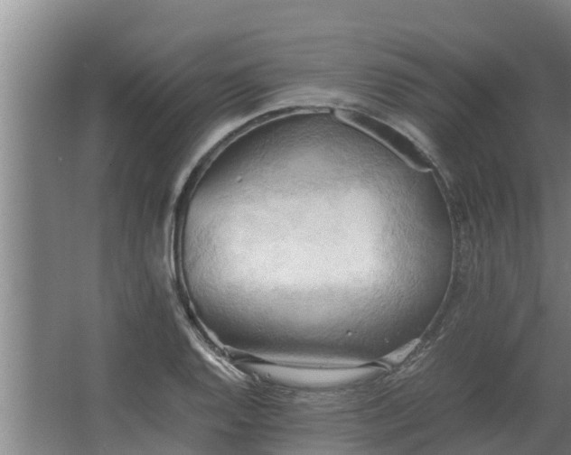 X0000064041128200602031550