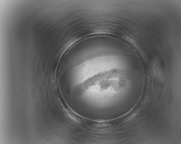 X0000064041129200602031550