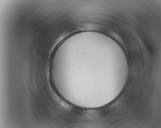 X0000064041130200602031550