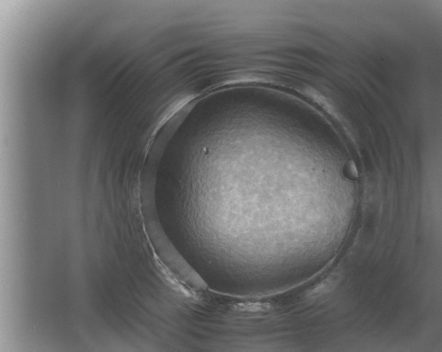 X0000064041137200602031551