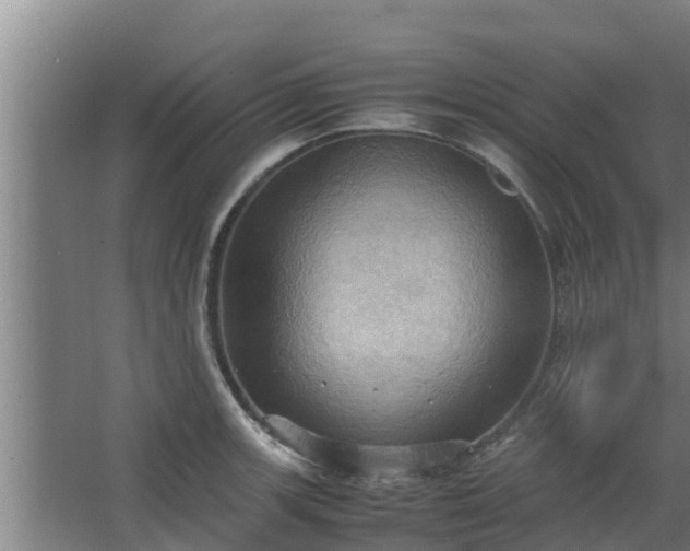 X0000064041139200602031551