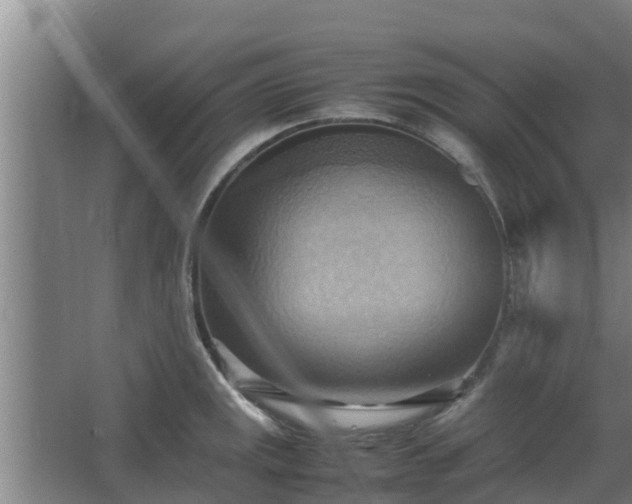 X0000064041141200602031551