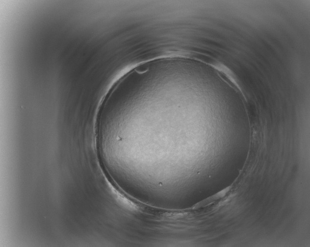 X0000064041143200602031551