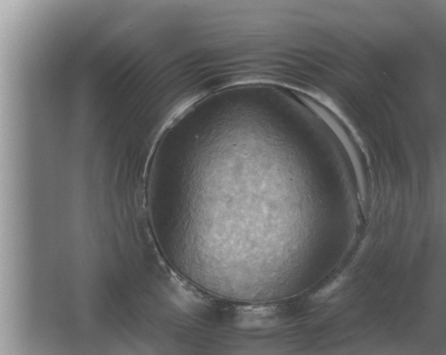 X0000064041145200602031551