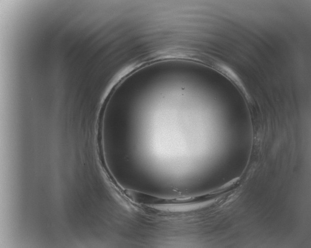 X0000064041146200602031551