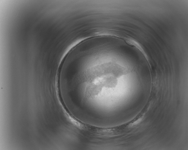 X0000064041149200602031551