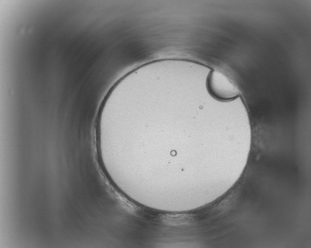 X0000064041150200602031551