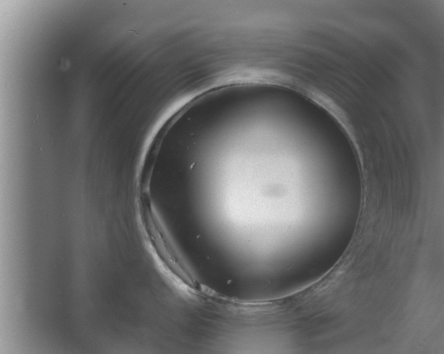 X0000064041152200602031551